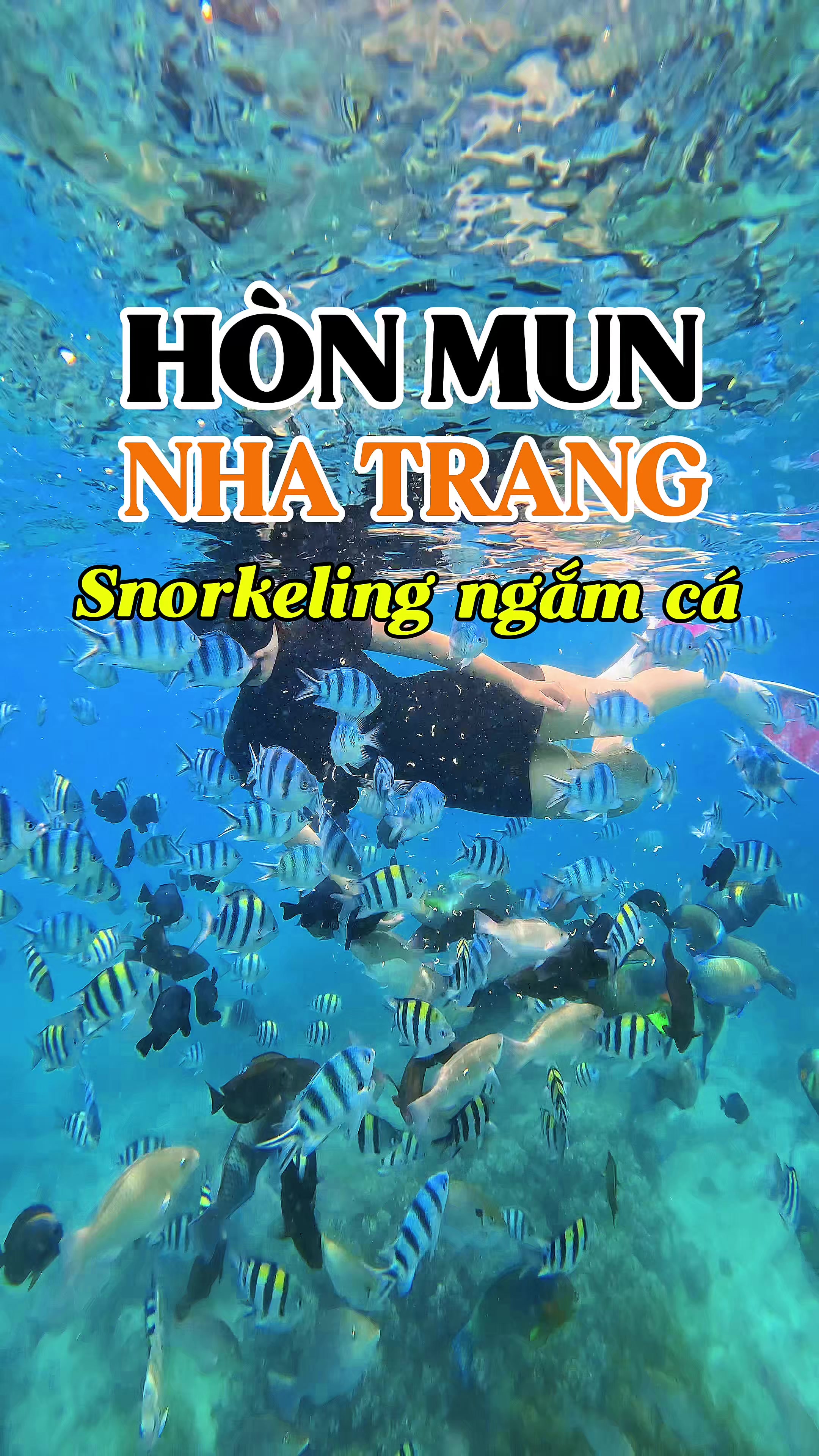 Nghỉ lễ đợt n&agrave;y đi tour H&ograve;n Mun private lặn snorkleing ngắm c&aacute; nha ae 🌊☀️🤿🪸🐟 #review #dulich #nhatrang #reviewnhatrang #dulichnhatrang #honmun #honmunnhatrang #tourdaonhatrang #privatetour #tour3daonhatrang #xuhuong #trending #viral #thinhhanh 
