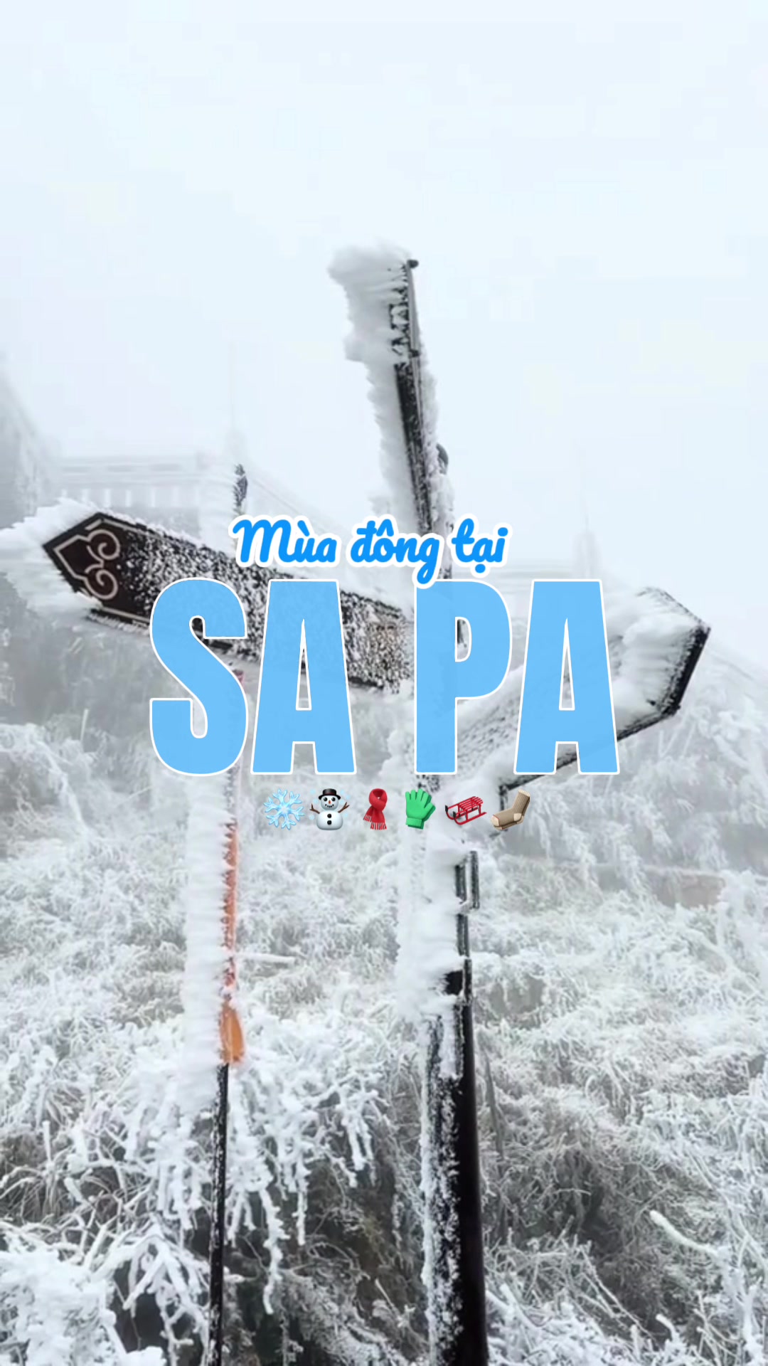 M&ugrave;a đ&ocirc;ng tại Sa Pa ☃️❄️🧣🧤🛷🎅⛷️ #traveling #goldlotustravel #sapatravel #xuhuong #tourism 
