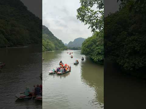 Travel to Ninh Binh Vietnam, scenic boat in Trang An #vlog #trending #travel #shorts #trend #video