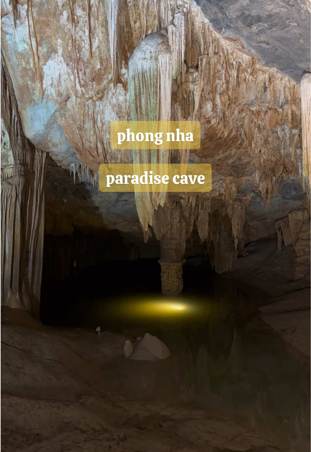 phong nha d1! exploring paradise cave #travel #traveltiktok #vietnam #vietnamtravel #food 