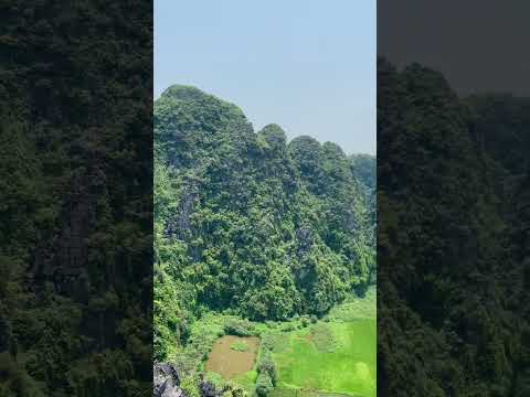 NINH BINH | Hang Mua 😍 🇻🇳 #vietnam #travel #trending #popular #shorts #travelvlog
