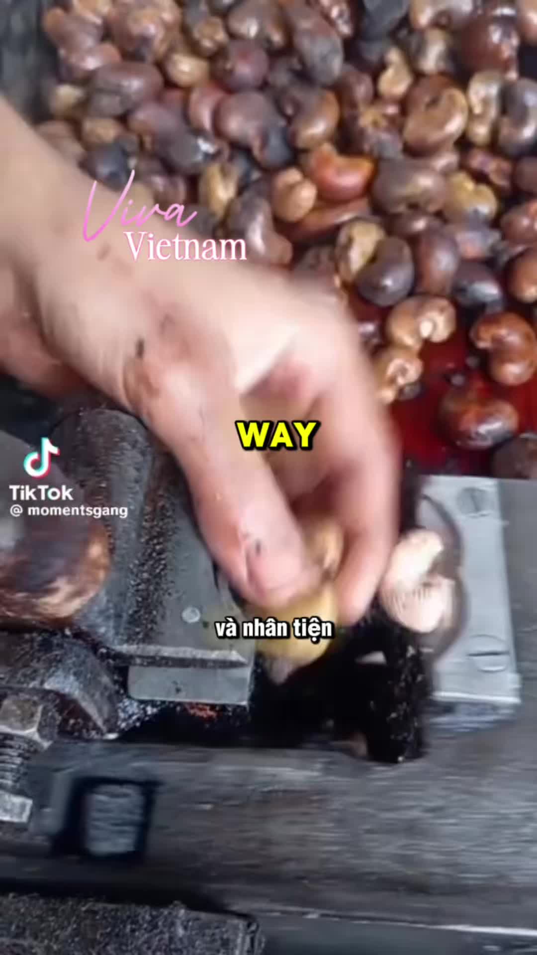 Incredible Act Of Spontaneous Kindness From Neighbor ! #vietnameseculture #kindnessfirst #cashewsong 