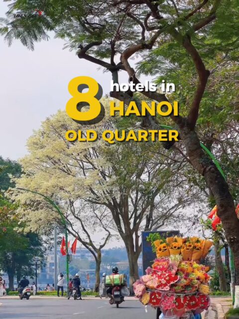 TOP 8 HOTELS IN HANOI OLD QUARTER 🏨  Staying in the Old Quarter puts you right in the heart of Hanoi&rsquo;s vibrant atmosphere 🔥 From charming boutique stays to comfortable city hotels, there are plenty of great options for every traveler. Watch till the end to discover some of the best hotels in Hanoi Old Quarter 👇 👇 Would you stay in the Old Quarter when visiting Hanoi? 👇 ✈️ Planning your stay in Hanoi? DM us or check the link in bio for hotel tips & travel advice! Tran Gia Journey &ndash; youth journeys, unforgettable experiences ✨ 📩 Start planning your Hanoi trip with Tran Gia Travel today. Email: traveltrangia@gmail.com Hotline/WhatsApp: +84 966126070 🌿 Travel to Revive Your Soul. #TrangiaTravel #VietLocalTrip #VietnamTravel #HanoiOldQuarter #fyp 