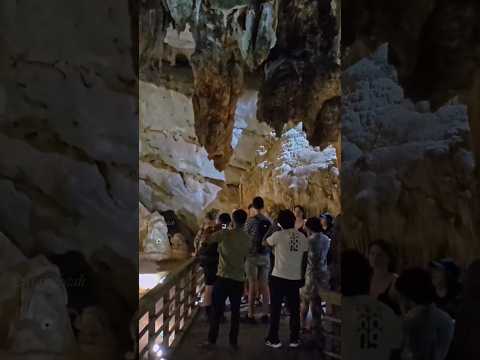 Phong Nha caves #shorts
