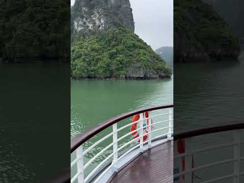 Best Family & Friend Day Trips and Activities in Vietnam 198 Halong bay family trip Vietnam #summervibes #shorts #viral