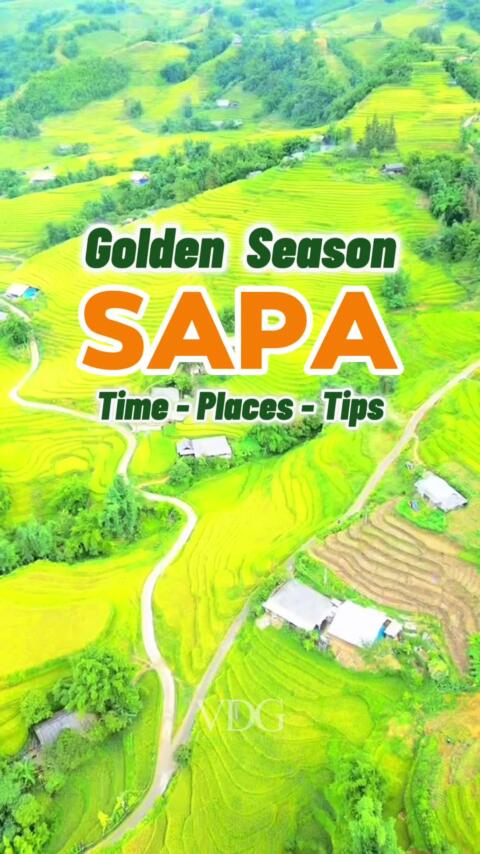 Best time to visit Sapa's rice fields: The brief guide for first-timers #vietnamtour #vietnamdailytravel #vietnamtourpackage #vietnam #vietnampackagetour #sapa #fansipan 