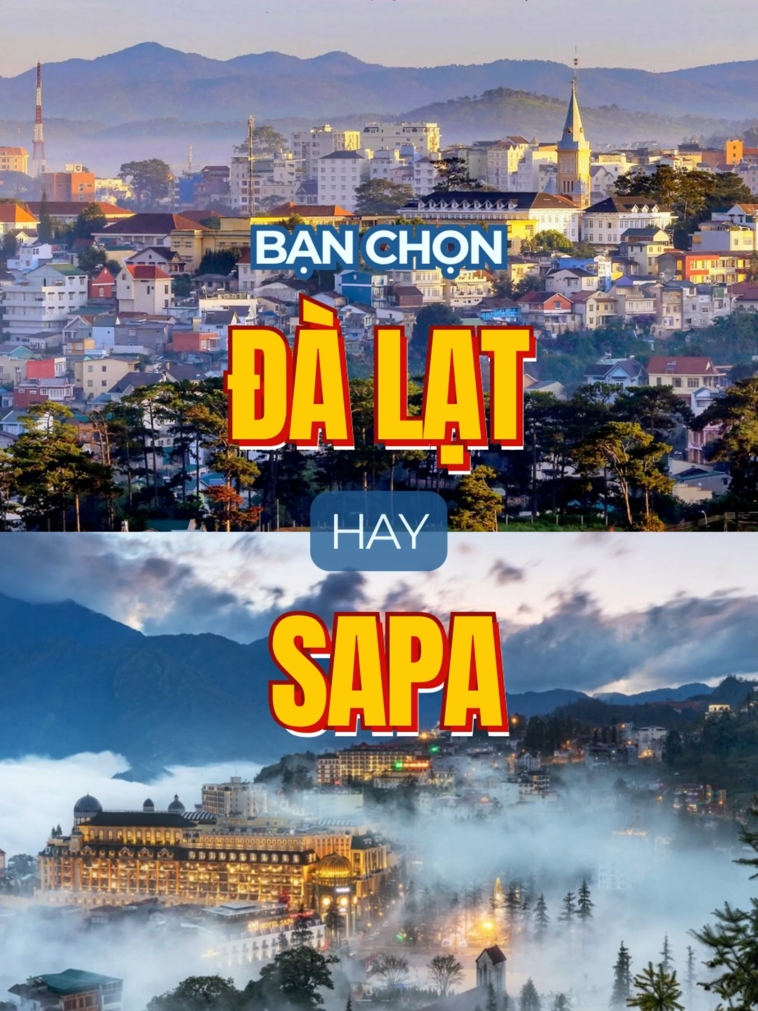 Bạn chọn Đ&agrave; Lạt hay Sapa ?  #reviewsapa #sapa #dalat #vivusapa #happyvivu #vuahagucsapa