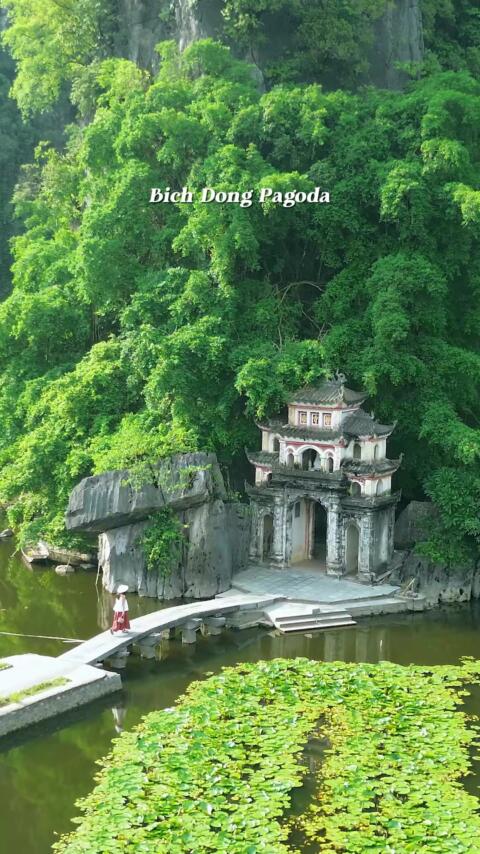7 things to do in Ninh Binh 🏔️🛶✨ Ninh Binh is the ultimate green escape. Save these 7 must-dos for your itinerary: ⛩️ Bich Dong Pagoda - The iconic ancient temple built into a mountain cave. 🚲 Cycle around Tam Coc - Pedal through quiet village roads and limestone valleys. 🐃 Buffalo Cave - A unique local experience feeding buffaloes and seeing rural life. 🧗 Mua Cave - Climb 500 stone steps for the most famous view in Ninh Binh. 🛶 Trang An River Boat - Glide through mystical, water-filled caves on a rowboat. 🌲 Cuc Phuong National Park - Explore prehistoric caves and dense ancient jungles. 🏛️ Hoa Lu Ancient Town - Step back in time at Vietnam's historic 10th-century capital. #VietnamTravel #explorevietnam #VietnamItinerary #VietnamTrip #HiddenGems