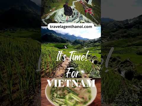 It's Time for Vietnam | Travel Agent Hanoi #shorts #vietnam #hanoi