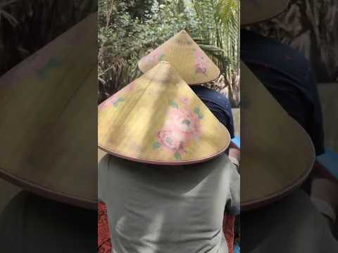 Mekong Delta Tour VIETNAM 🇻🇳❤️🤘#việtnam #mekongdelta #travel #shorts