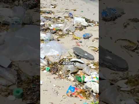 "The Maldives of Vietnam" Sao Beach in Phu Quoc is NOT... #travel #beachcleanup #phuquoc #vietnam