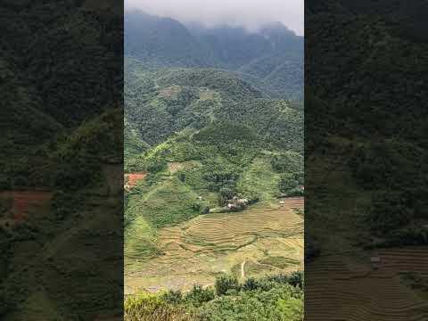 Moana cafe#sapa #vietnam #shorts #shortvideo #short