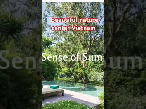 Amazing central Vietnam #music #trending #nature #shorts #viral  @DHANGVARIETYVLOGS