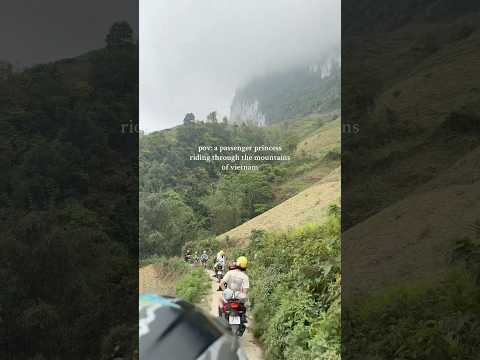 passenger princess through the mountains of north vietnam #travel #hagiang #shorts
