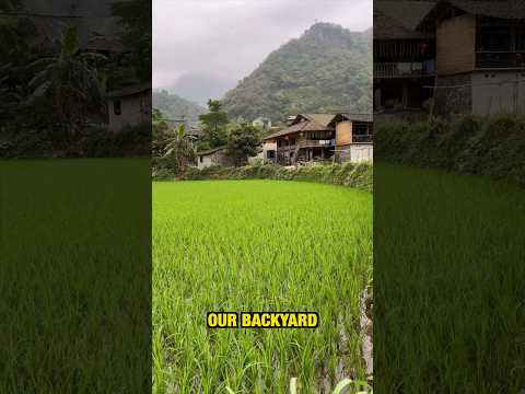 Ha Giang Loop Homestay #shorts