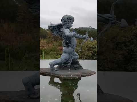 DA LAT !!!Most amazing place to visit in Vietnam #dalat #vietnam  #shorts #shortvideo #short #vlog