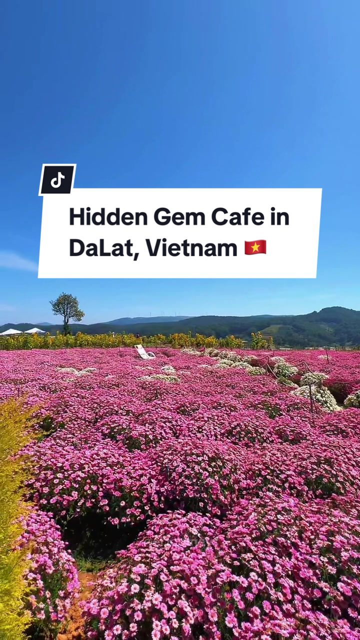 Cafe-cafe di DaLat menurut aku paling aneh, karena mereka jarang banget jual F&B, jadi mereka lebih fokus jual minuman aja kaya coffee, non coffee dll.  Nah cafe ditengah kebun bunga ini juga, mereka cuma jual minum aja. 🫣🤣 Tapi untungnya kalau dipusat kota masih ada resto-resto yang jual khusus makanan berat 🫶🏻 📍Giấc Mơ Đ&agrave; Lạt Coffee, DaLat 🇻🇳 #dalat #GiấcMơĐ&agrave;LạtCoffee  #explorevietnam #tripvietnam #TTPetualangPro #SerunyaLiburan