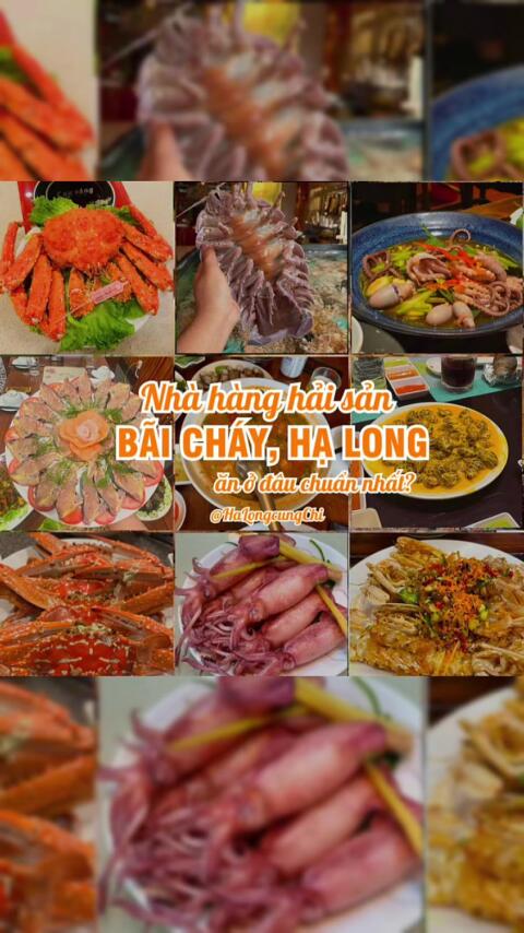 top những địa điểm ăn uống ngon tại b&atilde;i ch&aacute;y bạn n&ecirc;n thử #boloc24h #reviewhalong #halongtrongbung #monngon #xuhuong 