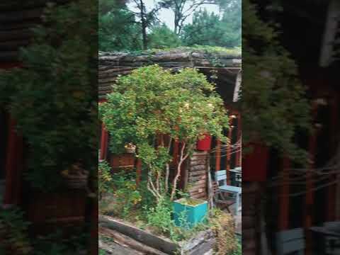 #shorts Nh&agrave; B&ecirc;n Rừng Homestay Picnic Cuối Tuần Ở S&oacute;c Sơn H&agrave; Nội #travel #dulich #hanoi