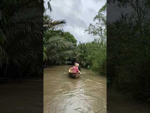 Mekong Delta River just 1.5hrs away from Ho chi Minh City Vietnam | Rikansh #viral #shorts #travel