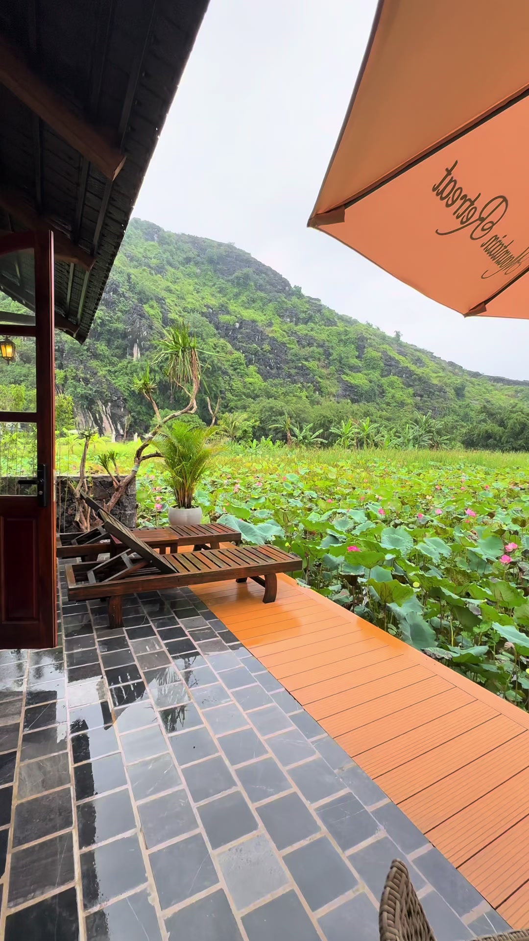 This has to be one of the best hotels we have stayed in Vietnam 🇻🇳 As it was a special occasion, I was suprised with this beautiful stay in Ninh Binh, located about 15minutes outside of Tam Coc but the hotel also offers free use of bicycles 🚲.  #hotel #retreat #mountain #nature #burthday #ninhbinh #vietnam #seasia #asia #travel #traveltok #traveltiktok 