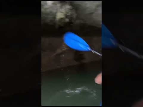 Trang An Ninh Binh, Vietnam 🇻🇳 #shorts #vietnam #halongbay #tranganninhbinh #viral #trending