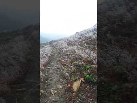 #shorts snow- băng tuyết ở h&agrave; giang | miền đ&aacute; lạnh