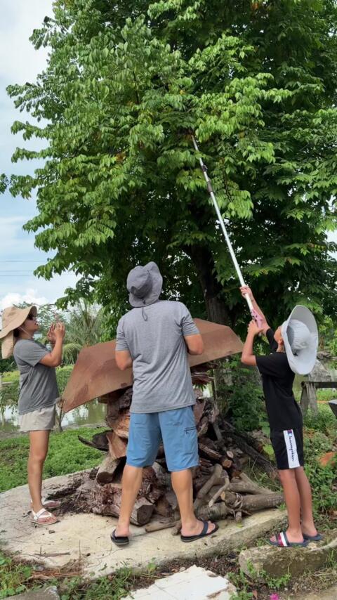 Một hoạt động gia đ&igrave;nh tại khu vườn của ch&uacute;ng t&ocirc;i ❤️ ------------------------------------------ Ninh Binh farm to table - Cooking Class - Join the farm-to-table cooking class in Ninh Binh 📍: Ang Ngu, Hoa Lu District, Ninh Binh 📱: (+84) ⁨097 402 66 67⁩ (Whatsapp/Zalo) #NinhBinhfarmtotablecookingclass #CookingClass #NinhBinh #NinhBinhCookingClass #Vietnam