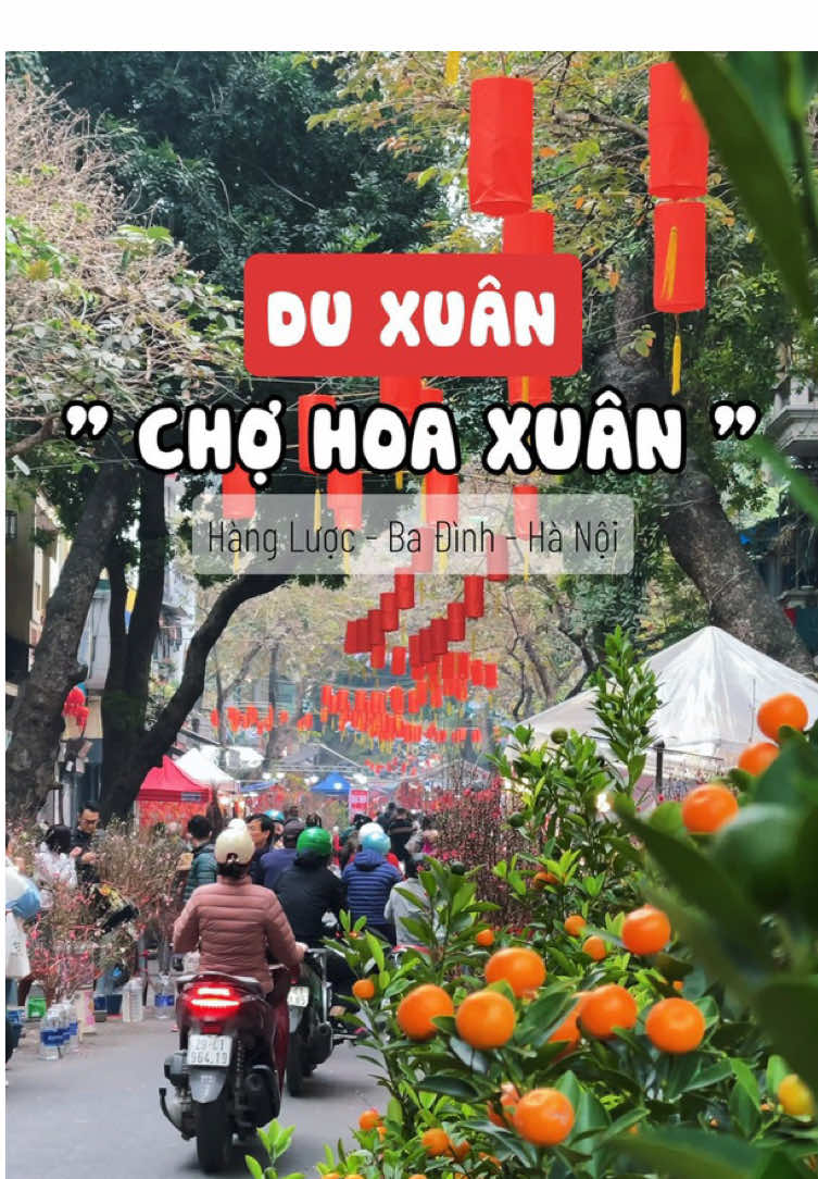 Du Xu&acirc;n - Chợ hoa Xu&acirc;n tại H&agrave;ng Lược, Ba Đ&igrave;nh 🥰  #dienvienhaianh #cvmedia #trending #duxuan #tetholiday 