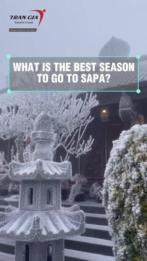 When Is the Best Time to Visit Sa Pa? 🌸❄️🌿☀️ Sa Pa isn&rsquo;t just a destination &mdash; it&rsquo;s 12 different worlds in one place. 🌸 Spring with peach blossoms ☀️ Summer rice terraces 🍂 Autumn golden fields ❄️ Winter mist and frost No matter when you go, Sa Pa has its own magic. The real question is: Which season fits your soul the best? 👉 Save this video &mdash; and when you&rsquo;re ready, Tran Gia Travel will design a personalized Sa Pa itinerary that matches your style and your budget. 🌏 Follow @TranGiaTravel for journeys filled with wonder, culture, and unforgettable memories. #trangiatravel #travelvietnam #sapa #vietnamtrip #travelguide 