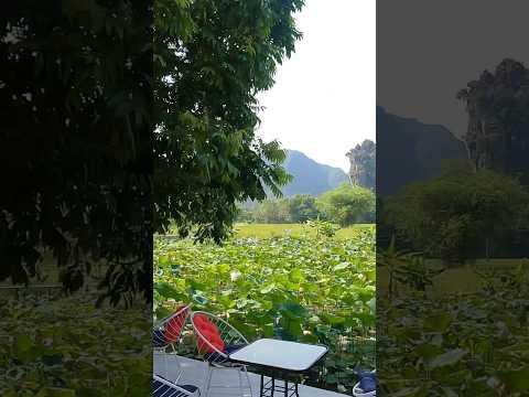 #hostel recommendation for #ninhb&igrave;nh #vietnam  Green Mountain Homestay was stunning & perfect