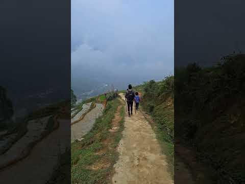 Walking in the clouds #shorts #youtubeshorts #sapa