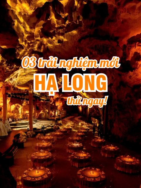 Ai c&ograve;n hỏi Hạ Long c&oacute; g&igrave; chơi kh&ocirc;ng th&igrave; bơi v&agrave;o đ&acirc;y nh&eacute; #Dulichhalong #Halongcungchi #Halong