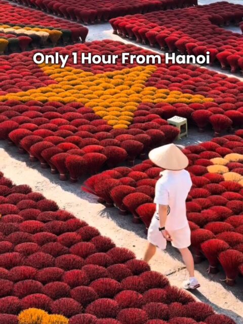 Just around 1 hour from the city, this traditional incense-making village has become a must-visit photo spot for travelers. 📍 Location: Quang Phu Cau, Ung Hoa, Hanoi, Vietnam 🚗 Distance: ~1 hour from Hanoi city center 👇 Follow for more hidden gems and Vietnam travel guides! #quangphucau  #incensevillage  #hanoitravel  #vietnamtravel  #explorevietnam 