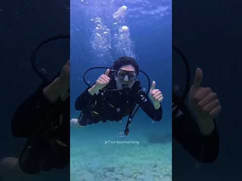Lặn biển với b&igrave;nh kh&iacute; ở Nha Trang 🌊 #travel #nhatrang #viralvideo #diving #review