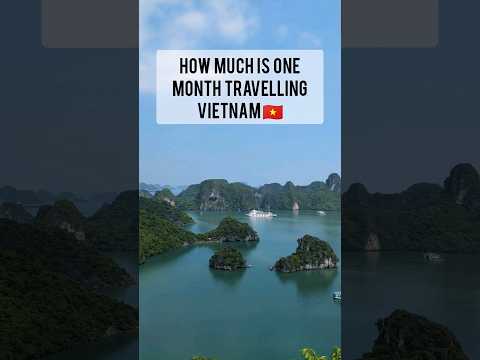 Surprising Cost To Travel Vietnam For One Month 🇻🇳💲(Couple On A Budget) #shorts #travel #vietnam