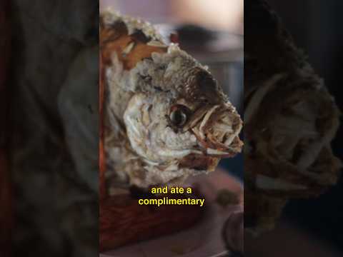 Mekong Delta Day Tour Part 2 #shorts