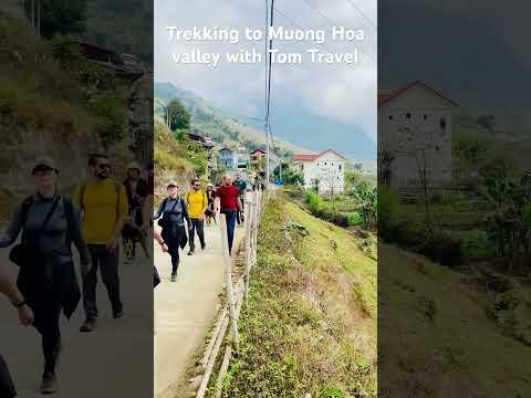 @Trekking to Muong Hoa valley with Tom Travel: 0913388966 #sapa #l&agrave;ocai