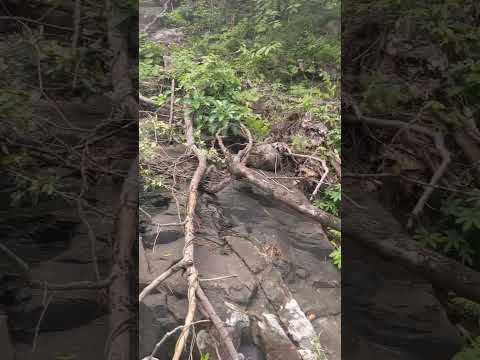We found a hidden waterfall on Con Dao island