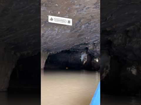 Phong Nha Ke Bang CAVE -Vietnam 🇻🇳😱 | #cave #shorts #adventure