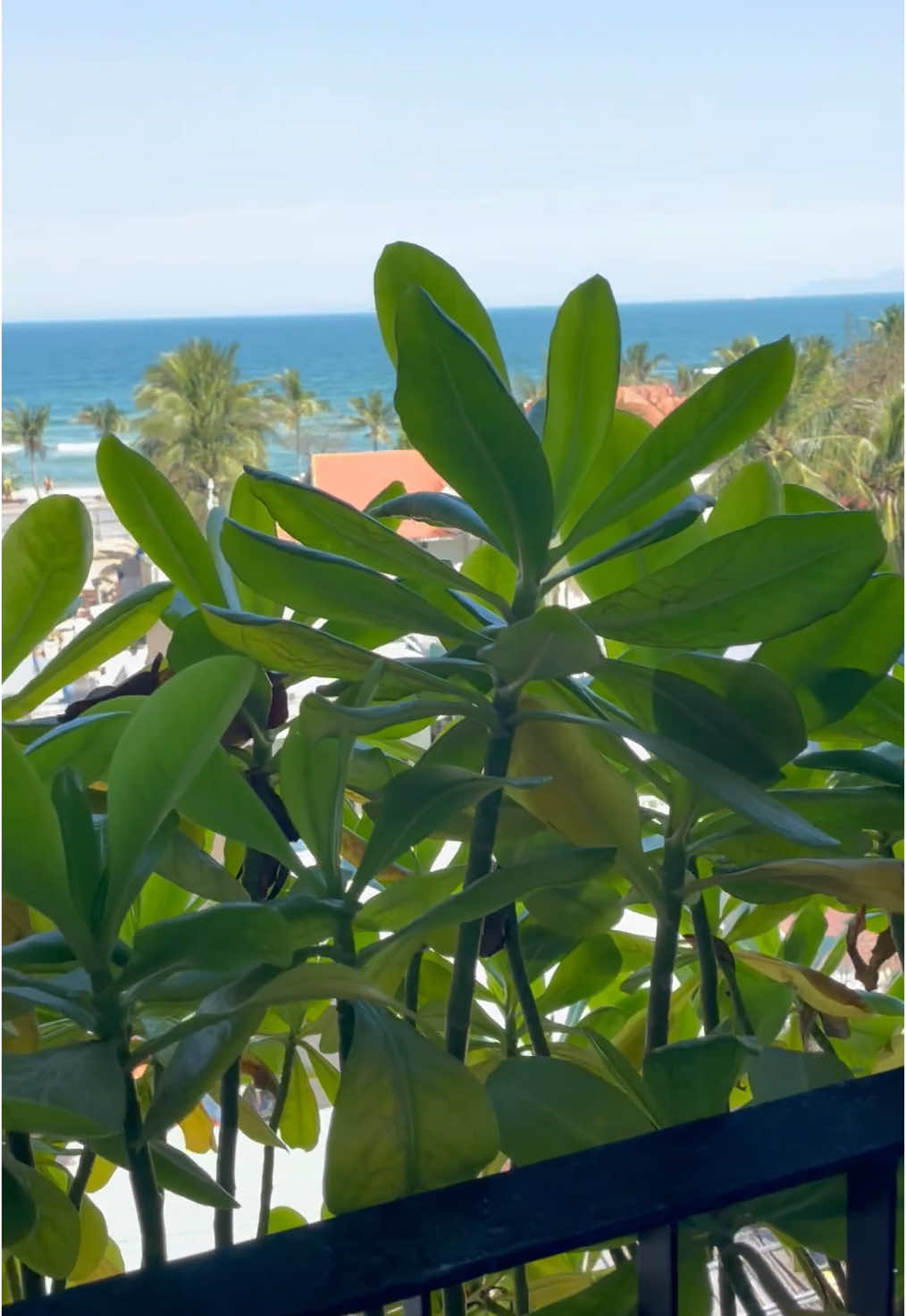 #vietnam #danang #asia #travel #mykhebeach #beachhotel #jbayhotel#vacation 
