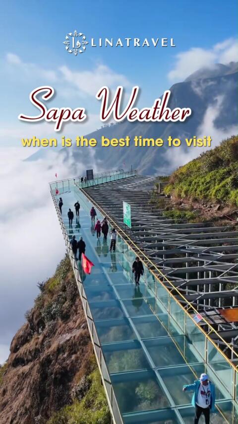 Sapa Weather - When Is the Best Time to Visit #LinaTravel#explorevietnam #Sapa 