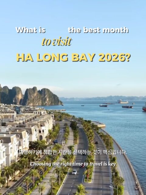 When is the BEST time to visit Ha Long Bay in 2026? 🇻🇳📅 Choosing the right month is the key to a perfect trip. Here is your cheat sheet: 🌸 Spring: Prefer a slow, relaxing cruise or gentle activities? ☀️ Summer: In the mood for ocean fun and island adventures? 🍂 Autumn: Want the most scenic views for photos? ❌ July & September: Might want to avoid these months Save this post for your 2026 travel planning! 📌 👇 Read the PINNED COMMENT to master the chant! 👇 ✈️📩 Want to party like a local? Click the link in bio or DM us! #trangiatravel #VietnamTravel #HaLongBay #TravelGuide #HaLongBayCruise #TravelTips #TravelAdvice Tran Gia Journey &ndash; Youth journeys, unforgettable experiences ✨ 👉🏻Watch full video on TikTok