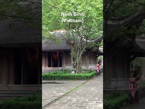 Trang An Tour #26 in Ninh Binh (Vietnam) #shorts #vietnam #travel #ninhb&igrave;nh