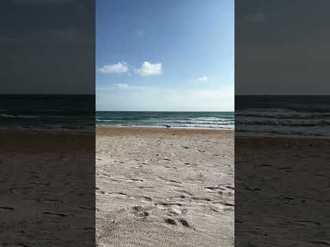 5* Regent Phu Quoc Beach Resort #shorts