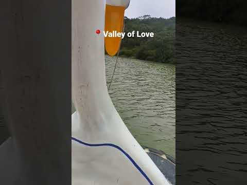 Valley of Love - An incredible beauty in Da Lat, Vietnam 🇻🇳 #shorts #vietnam #travel #ytshorts