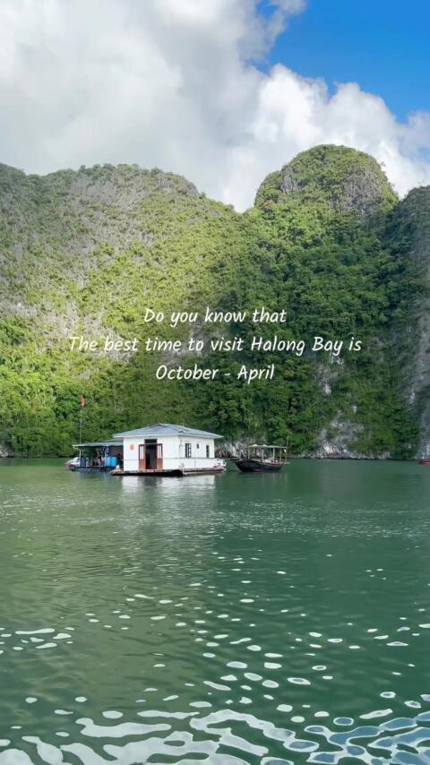 Has anyone told you that The best time to visit Halong Bay is October to April as it&rsquo;s no longer stormy season? There are only February - April for the best calming season for a cruise trip. Speak to us to plan your next holiday! #vietnamluxurycruises #2026travelgoals #besttimetovisithalongbay #halongbaytourpackages #halongtraveltips  