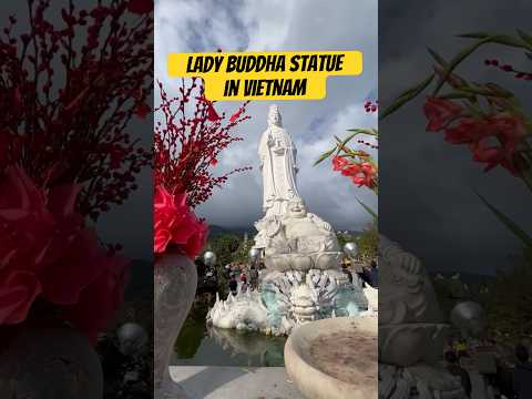 #vietnam #travel #shortvideo #shorts #viral #trending #foryou #youtubeshorts #asiancity