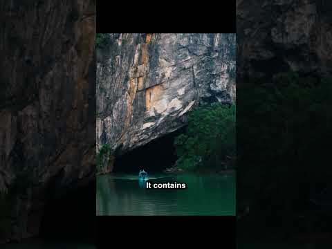 PHONG NHA CAVES | VIETNAM 🇻🇳 TRAVEL GUIDE #shorts #vietnam #travelhacks