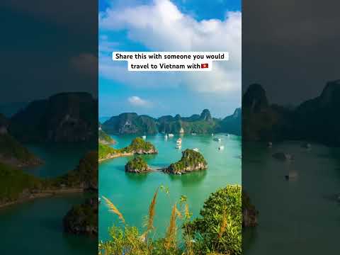eSIM for Vietnam | Travel Vietnam with best connectivity 🇻🇳 #shorts #vietnamtravel #esimfortravel